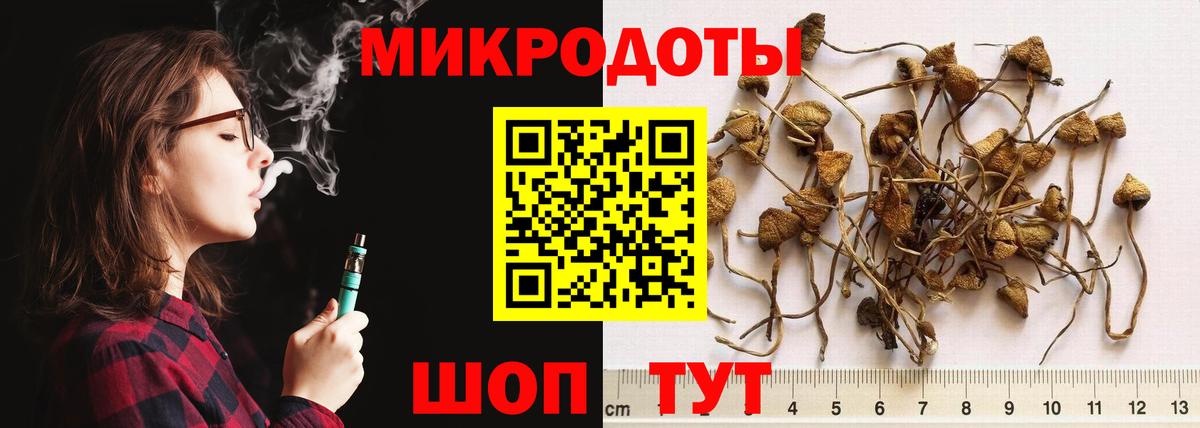 Галлюциногенные грибы мухоморы  Вход с VPN  Кимовск 