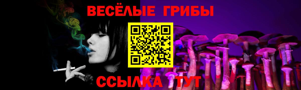 Псилоцибиновые грибы MAGIC MUSHROOMS Кимовск